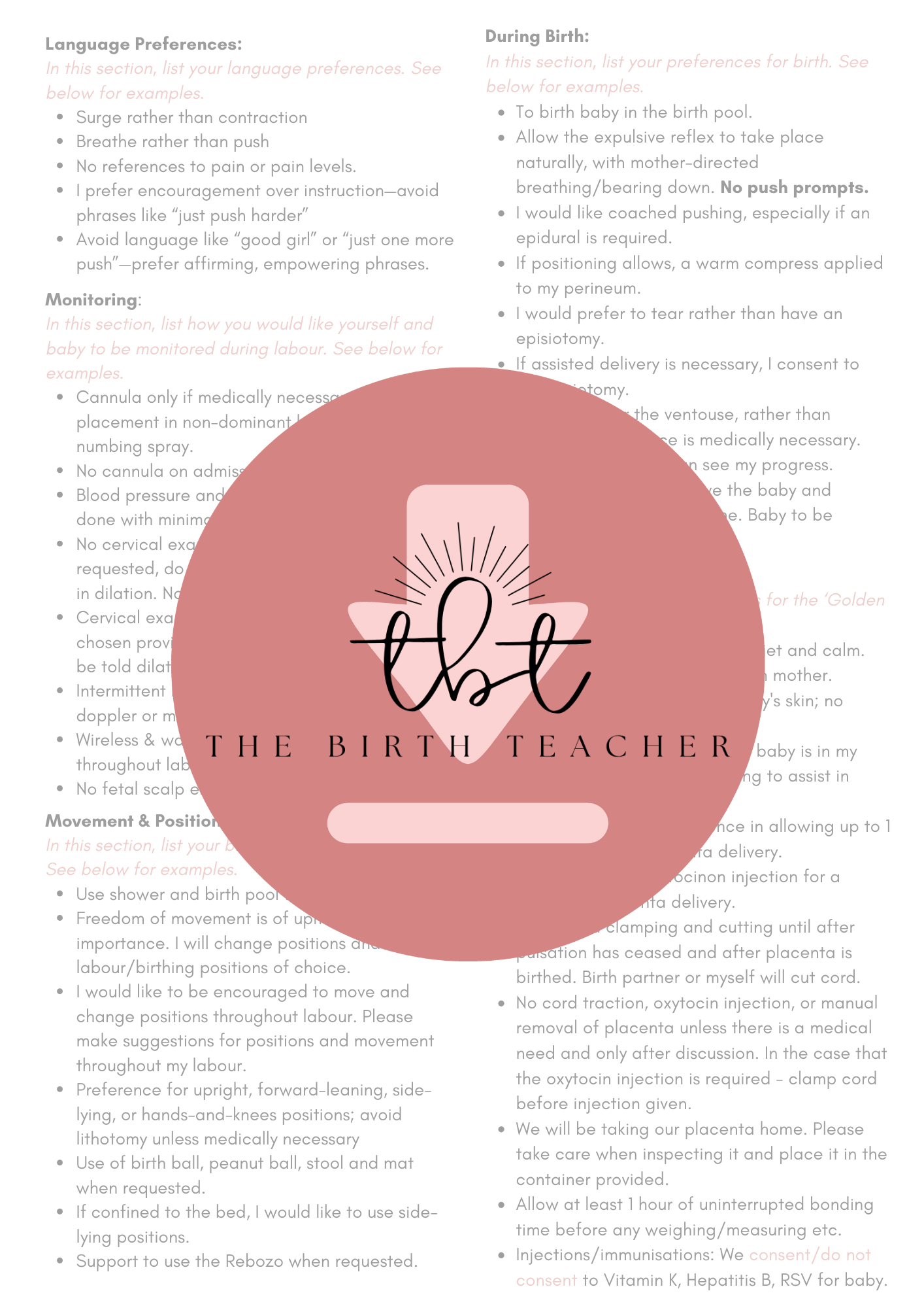 Informed Decisions Birth Plan Template