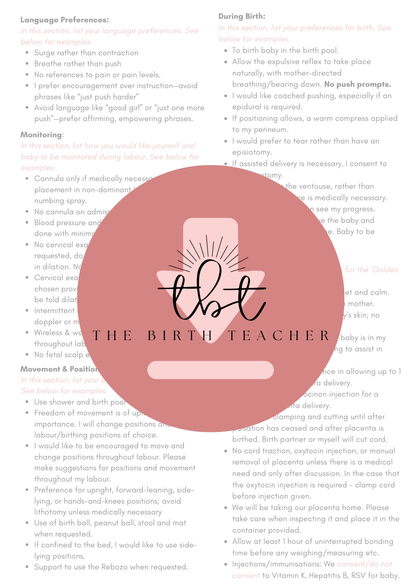 Informed Decisions Birth Plan Template