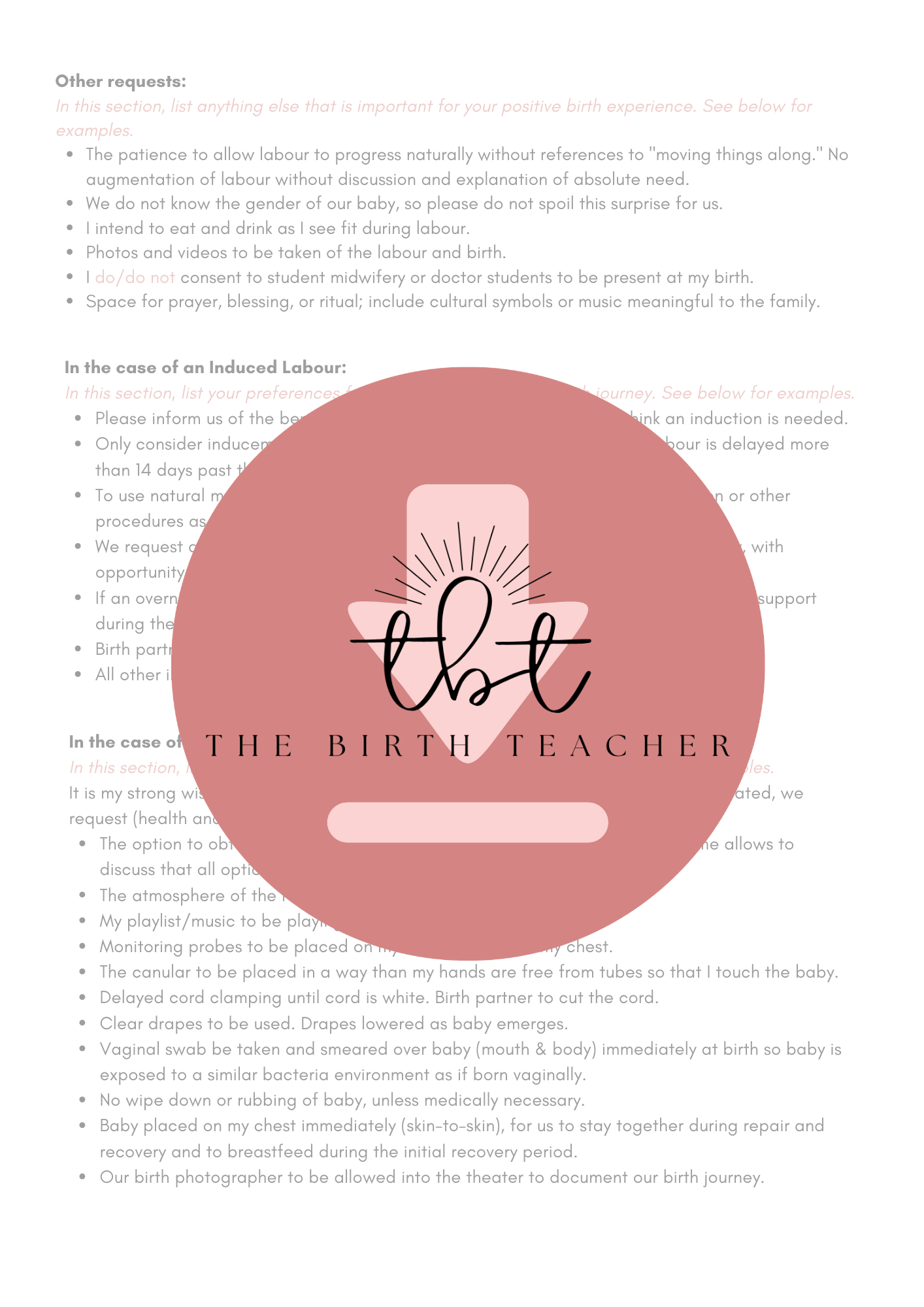 Informed Decisions Birth Plan Template