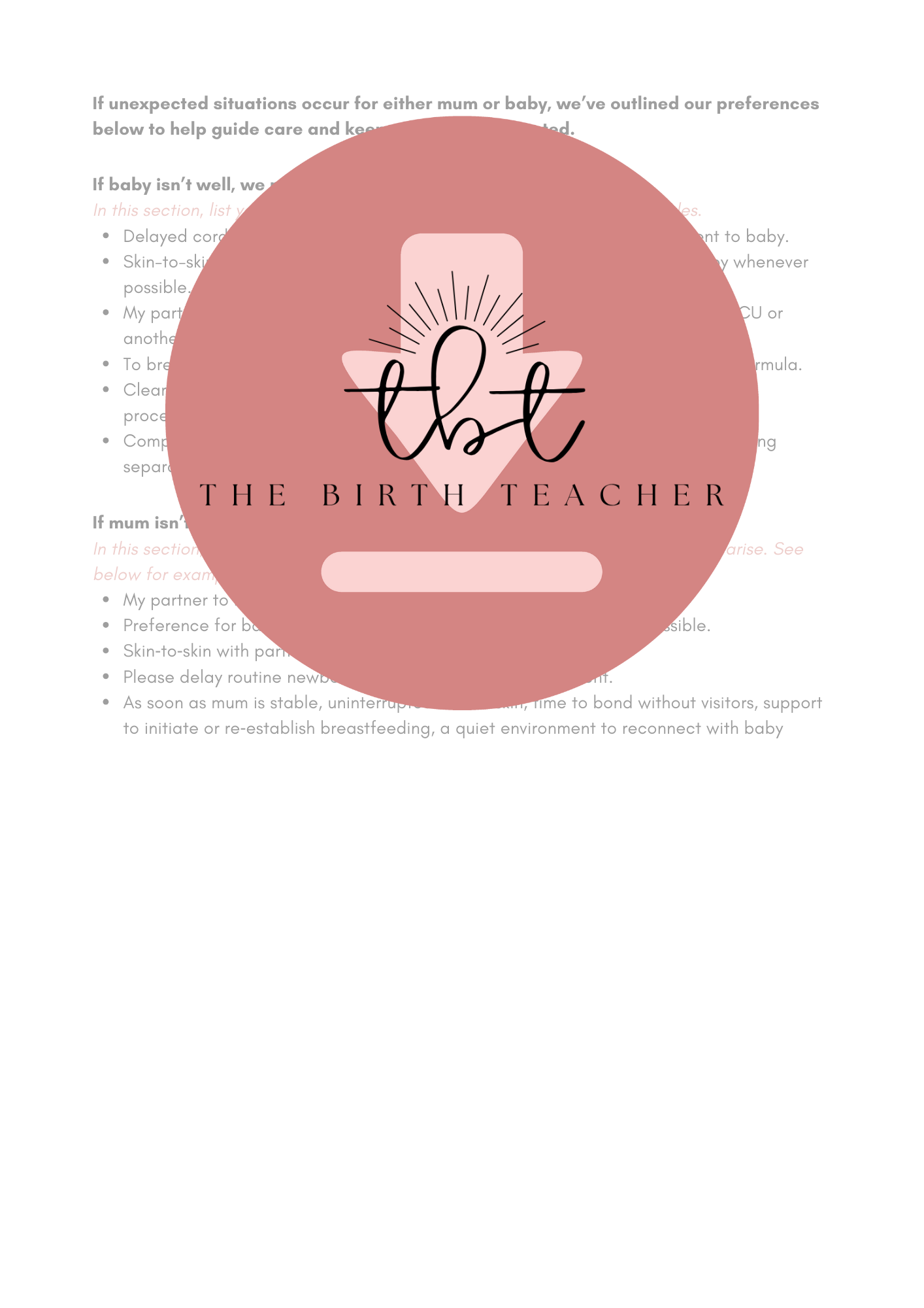 Informed Decisions Birth Plan Template