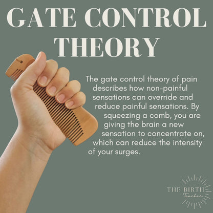 Hand holding a wooden birth comb with text explaining the gate control theory of pain on a gray background.
